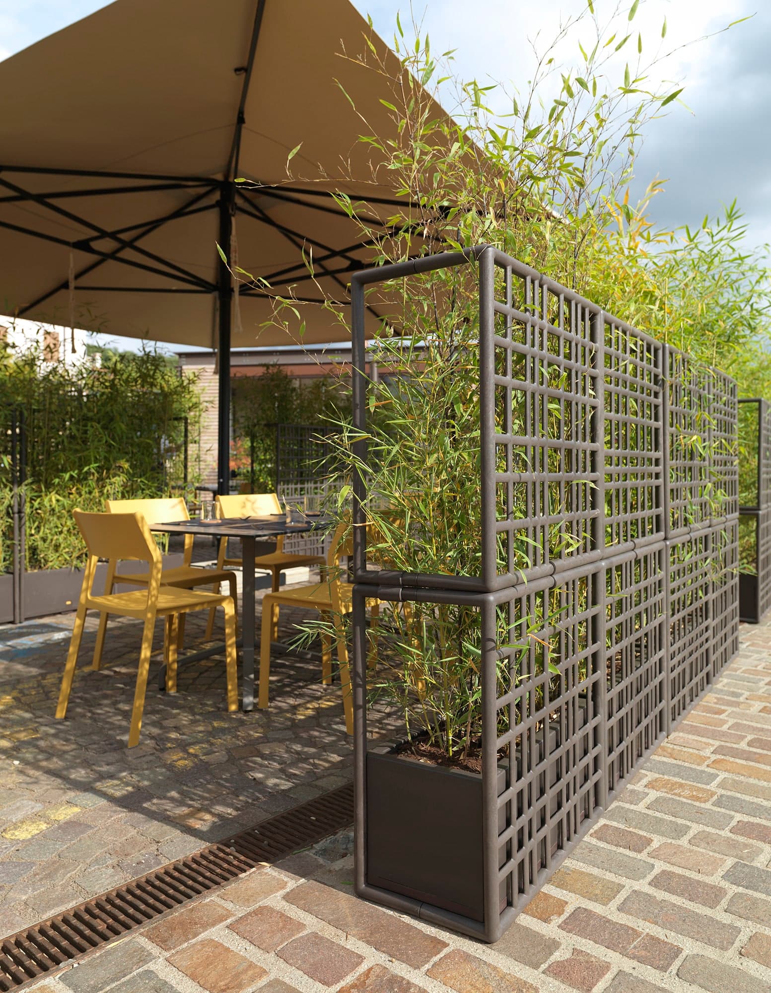 mobilier de lemn masiv