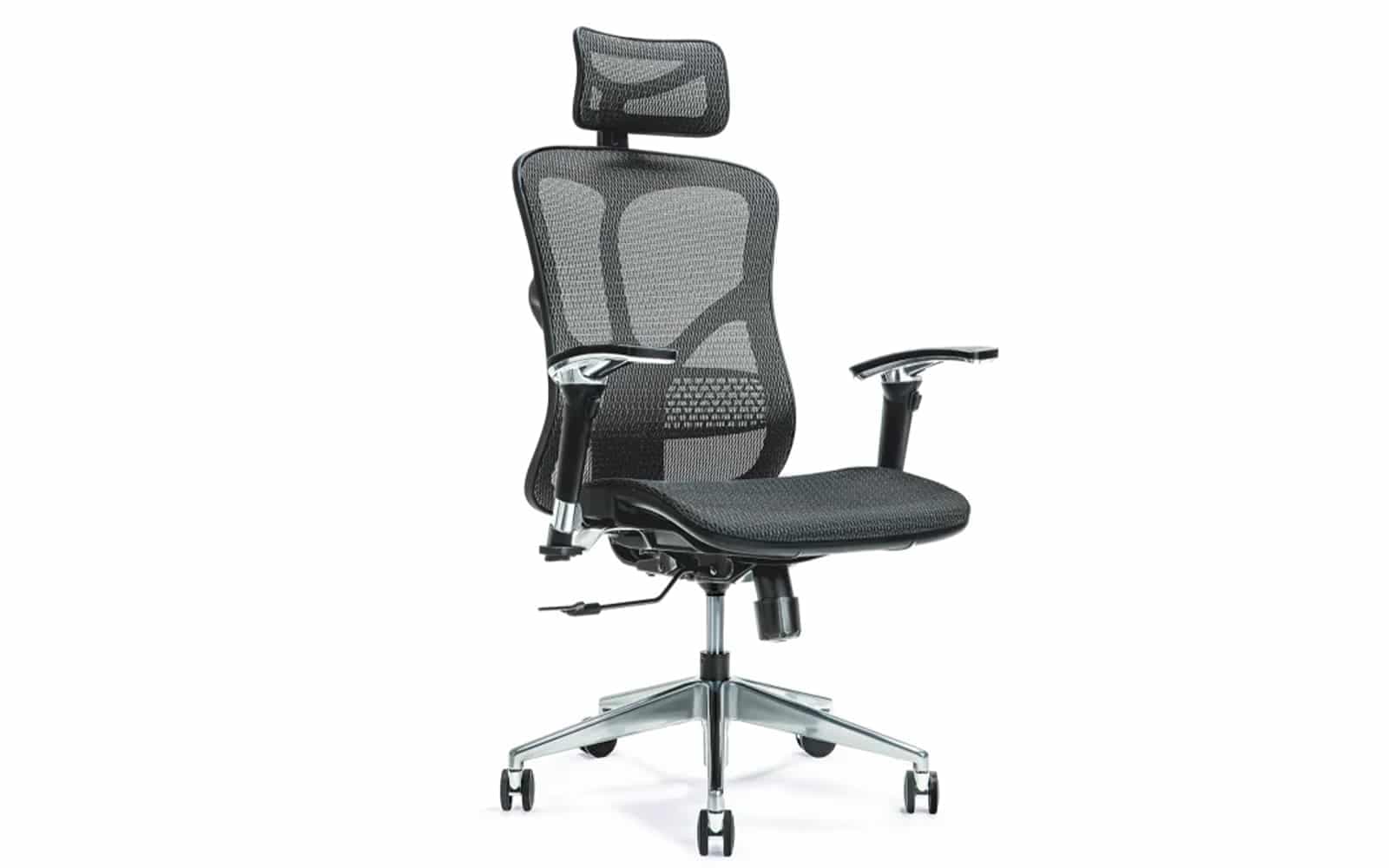 Scaun de birou, ErgoFlex