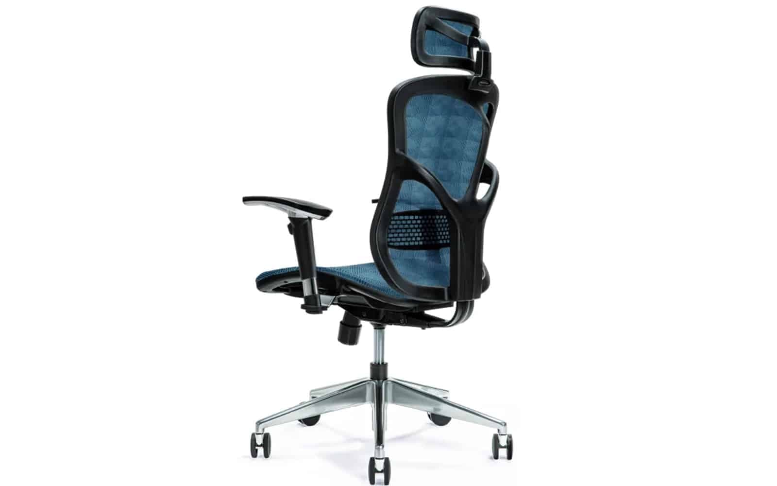 Scaun de birou, ErgoFlex
