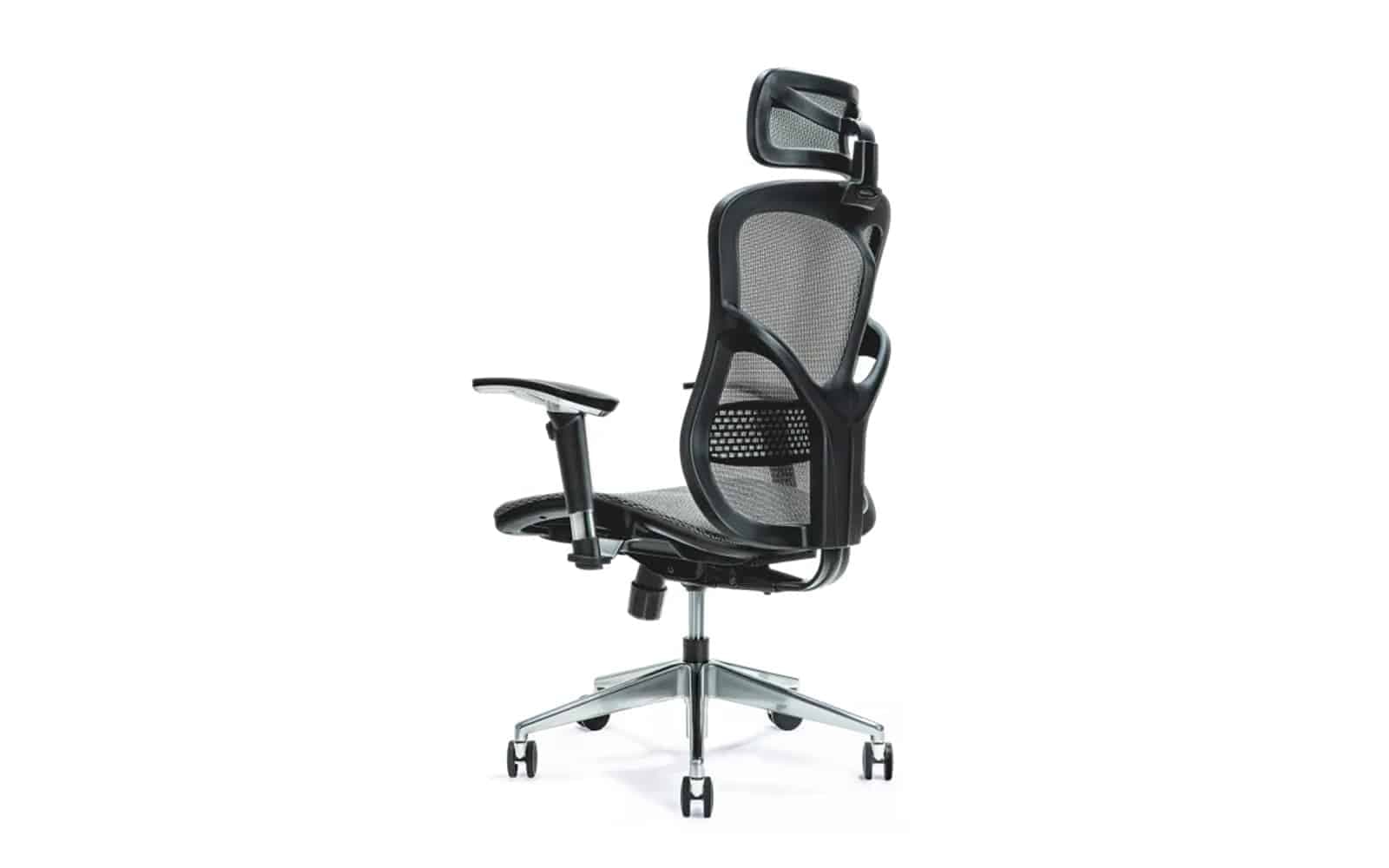 Scaun de birou, ErgoFlex