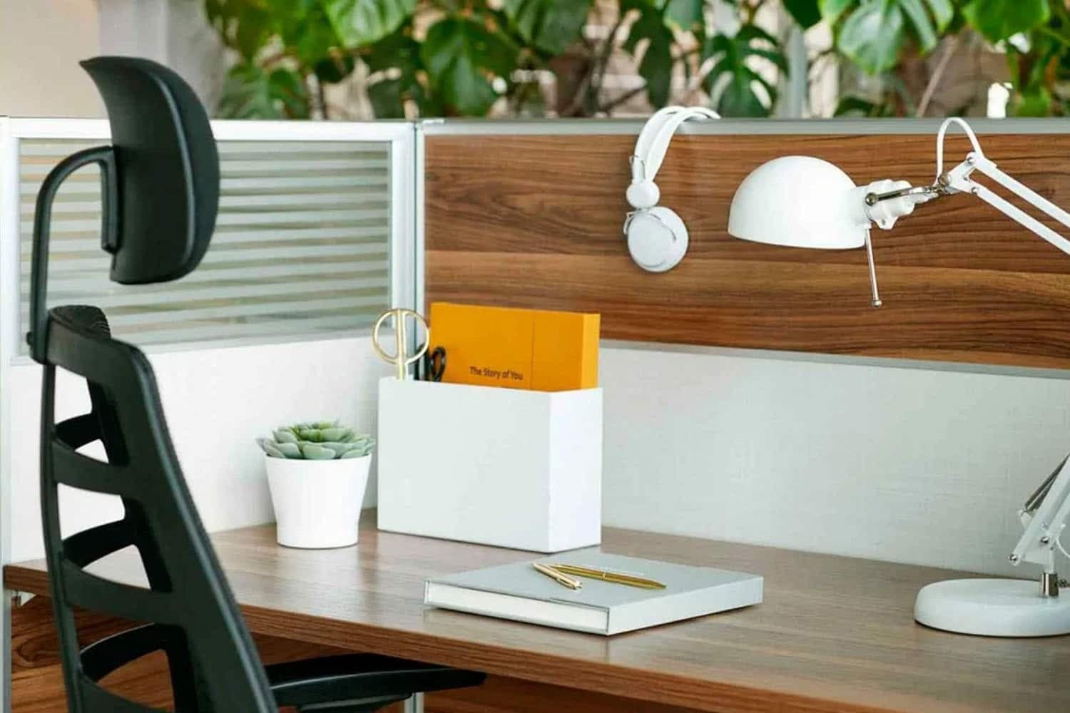 Scaun de birou, ErgoPrime, Pernă de Asiento Confortabilă