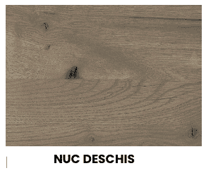 Nuc Deschis