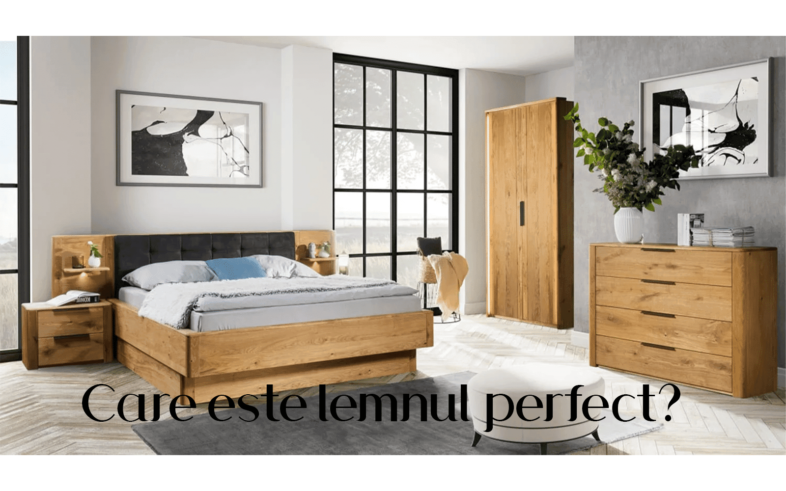 mobilier de lemn masiv